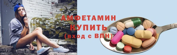 стафф Новодвинск