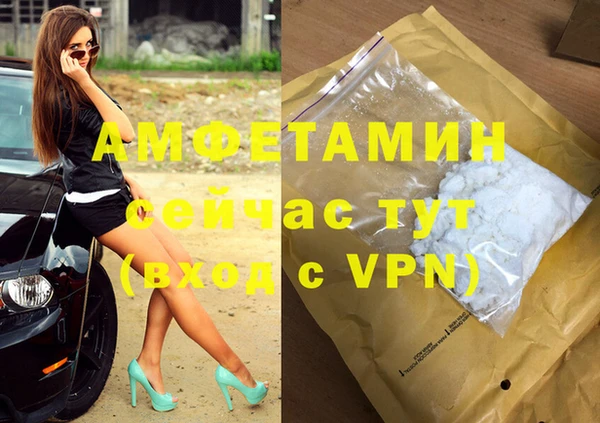 стафф Новодвинск
