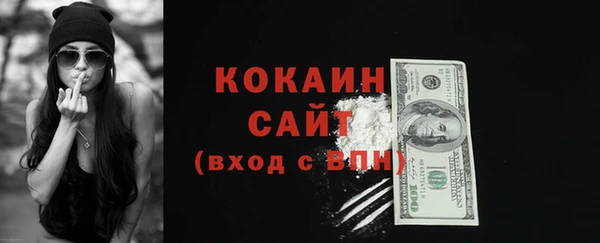 стафф Новодвинск
