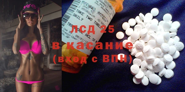 стафф Новодвинск