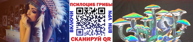 Купить закладки  Новая Ляля  Галлюциногенные грибы Cubensis 